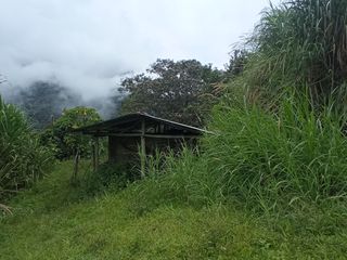 Foto 18 de Venta Finca En La Montaña Cerca Al Lago Calima