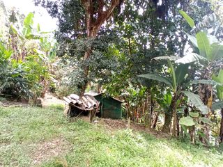 Foto 7 de Venta Finca En La Montaña Cerca Al Lago Calima
