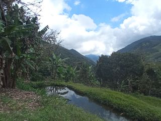 Foto 1 de Venta Finca En La Montaña Cerca Al Lago Calima