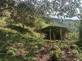 Foto 17 de Venta Finca En La Montaña Cerca Al Lago Calima