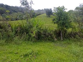 Foto 20 de Venta Finca En La Montaña Cerca Al Lago Calima