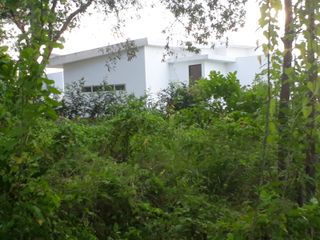 Foto 8 de Venta Lote Payande Ricaurte Cundinamarca
