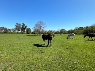 Foto 10 de Terreno para emprendimientos o desarrollos cercano a Highland Park Pilar