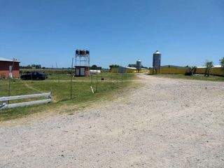 Foto 4 de Granja Avícola en venta - 7 hectáreas - General Paz