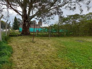 Foto 2 de Terreno en venta - 231mts2 - Abasto, La Plata
