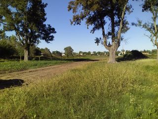 Foto 16 de Terrenos en venta - 324mts2 - Melchor Romero, La Plata