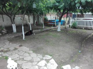 Foto 15 de Casa venta 4 dormitorios 1 baño 300mts2 totales - Quequen