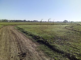 Foto 11 de Terreno en venta - 337 mts2 - Melchor Romero