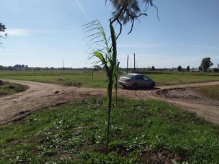Foto 4 de Terreno en venta - 337 mts2 - Melchor Romero