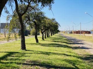 Foto 7 de Terreno de oportunidad en Tierra de Sueños Puerto Gral. San Martin, 288m²