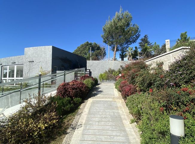 place photo 37