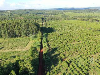 Foto 10 de Se vende Chacra en San Ignacio Misiones. Yerba, forestación y arroyo