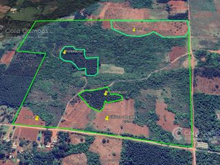 Foto 2 de Se vende Chacra en San Ignacio Misiones. Yerba, forestación y arroyo