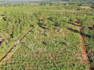 Foto 7 de Se vende Chacra en San Ignacio Misiones. Yerba, forestación y arroyo