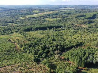 Foto 6 de Se vende Chacra en San Ignacio Misiones. Yerba, forestación y arroyo