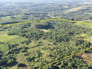 Foto 1 de Se vende Chacra en San Ignacio Misiones. Yerba, forestación y arroyo