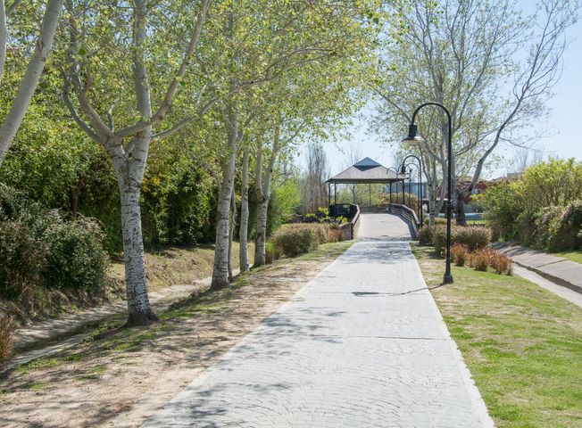 place photo 29