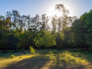 Foto 4 de Lote a la laguna  en venta en Azzurra Tortugas.