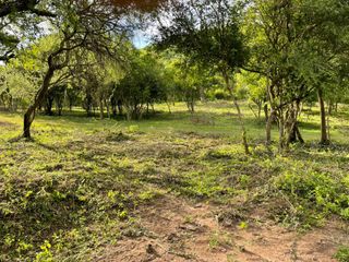 Foto 7 de Campo en VENTA - Capital - Salta