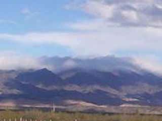 Foto 10 de Campo Apto para Viñedo en Venta - Tolombón, Salta
