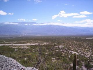 Foto 4 de Campo Apto para Viñedo en Venta - Tolombón, Salta