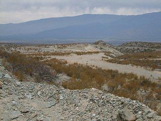 Foto 5 de Campo Apto para Viñedo en Venta - Tolombón, Salta
