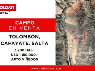 Foto 1 de Campo Apto para Viñedo en Venta - Tolombón, Salta