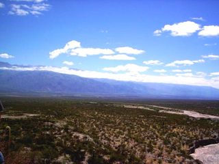 Foto 2 de Campo Apto para Viñedo en Venta - Tolombón, Salta