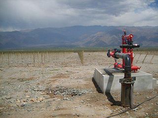 Foto 11 de Campo Apto para Viñedo en Venta - Tolombón, Salta