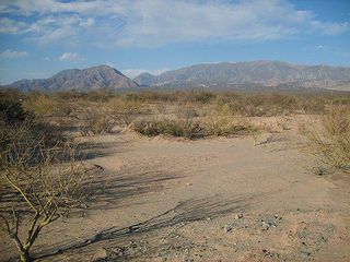 Foto 6 de Campo Apto para Viñedo en Venta - Tolombón, Salta