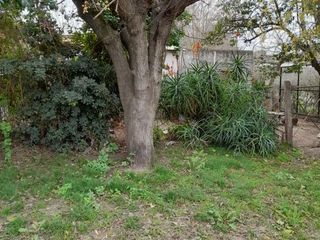Foto 3 de Terreno en venta - 348Mts2 - Coronel Brandsen