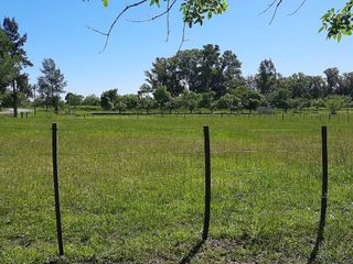 Foto 16 de Terreno en venta - 3187Mts2 - Coronel Brandsen