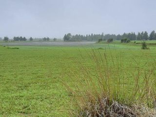 Foto 6 de Terreno en venta - 3187Mts2 - Coronel Brandsen