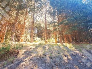 Foto 2 de VENTA TERRENO 2520 M2 - BARRIO CHAPELCO GOLF - SAN MARTIN DE LOS ANDES