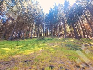 Foto 7 de VENTA TERRENO 2520 M2 - BARRIO CHAPELCO GOLF - SAN MARTIN DE LOS ANDES
