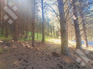 Foto 4 de VENTA TERRENO 2520 M2 - BARRIO CHAPELCO GOLF - SAN MARTIN DE LOS ANDES