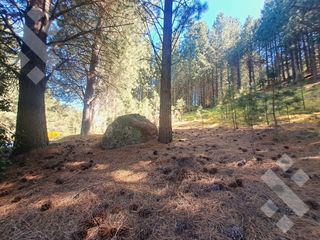 Foto 3 de VENTA TERRENO 2520 M2 - BARRIO CHAPELCO GOLF - SAN MARTIN DE LOS ANDES