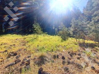 Foto 5 de VENTA TERRENO 2520 M2 - BARRIO CHAPELCO GOLF - SAN MARTIN DE LOS ANDES