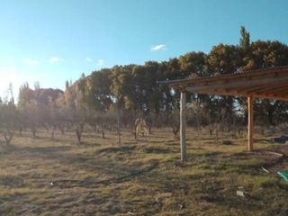 Foto 22 de Casa en venta - 2 Dormitorios 3 Baños - 60.250Mts2 - San Rafael, Mendoza