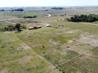 Foto 9 de Campo  - Coronel Brandsen