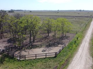 Foto 5 de Campo  - Coronel Brandsen