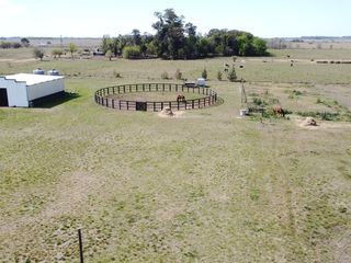 Foto 7 de Campo  - Coronel Brandsen