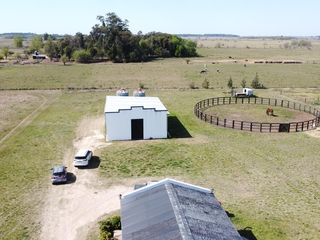 Foto 6 de Campo  - Coronel Brandsen