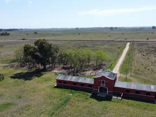 Foto 1 de Campo  - Coronel Brandsen