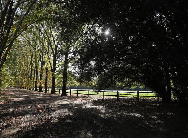 place photo 82