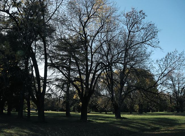 place photo 86