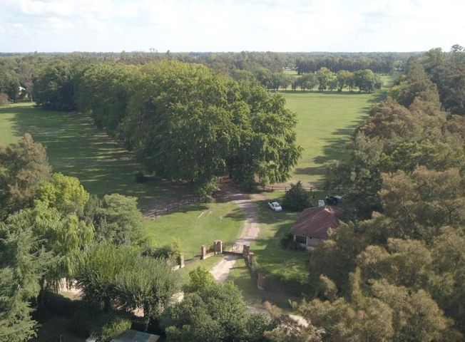 place photo 41