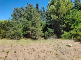 Foto 11 de Terreno en venta - 1000mts2 - Pinamar