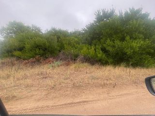Foto 7 de Terreno en venta - 1000mts2 - Pinamar