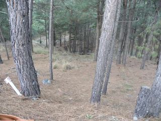 Foto 8 de EXCELENTE OPORTUNIDAD!! LIQUIDO LOTE CON ESCRITURA VILLA DEL CONDOR